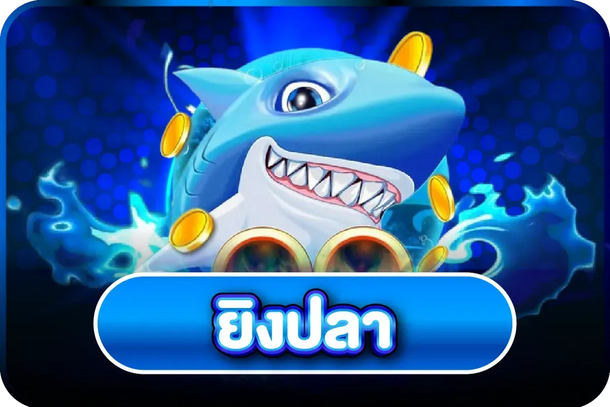 หน้าค้นหาเว็บไซต์ SabuyHub สำหรับเจ้าของธุรกิจและฟรีแลนซ์